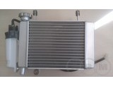 Радиатор в сборе с вентилятором GX250R (2015 -)
